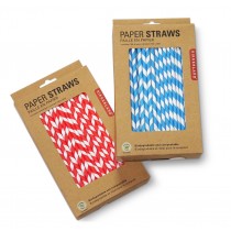 Berties Paper Straw 8" Red & White Stripe